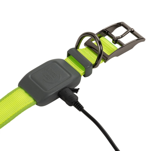 Nite Ize NiteDog Rechargeable LED Collar - L - Lime/Green LED