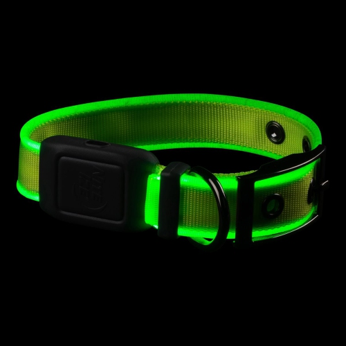 Collier DEL rechargeable NiteDog de Nite Ize - S - Lime/vert