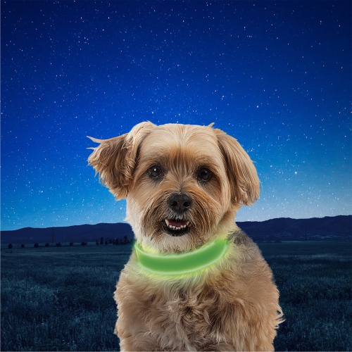 Collier DEL rechargeable NiteDog de Nite Ize - S - Lime/vert