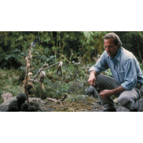 Libellule (bilingue) (DVD)