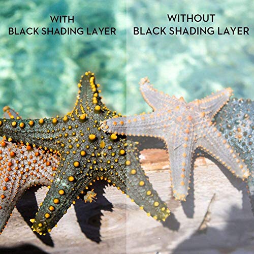 NIERBO Écran de projection double couche 100 pouces 16:9 Écran de projection portable 3D avec moins de transmission de la lumière pour le cinéma