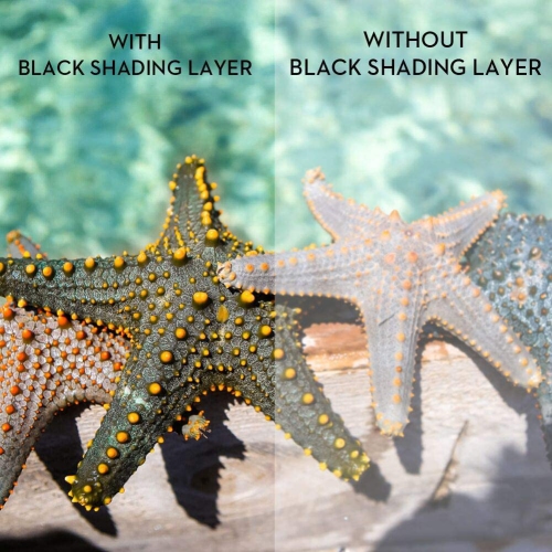 Écran de projection double couche 120 pouces 16: 9 Écran de projection portable 3D avec moins de transmission de la lumière pour le cinéma maison