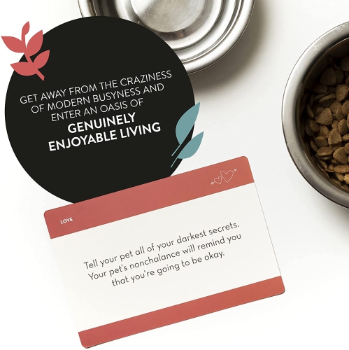 Flowjo - The Self Care Bucket List: 100 Mindfulness Activities Card Game