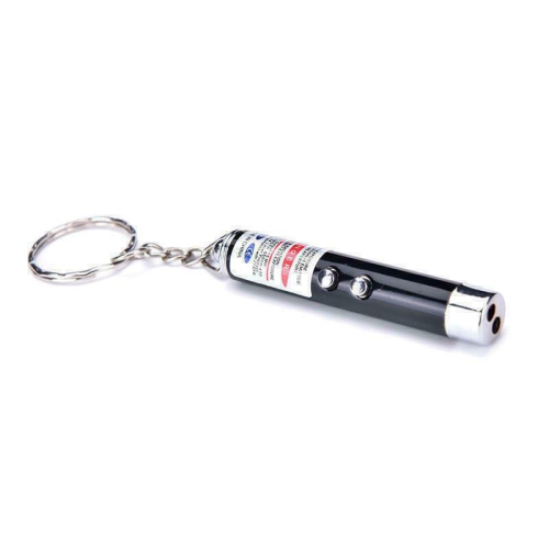 2 In 1 Mini Laser Pointer Pen Keychain With LED Light Money Detector Child Toy 