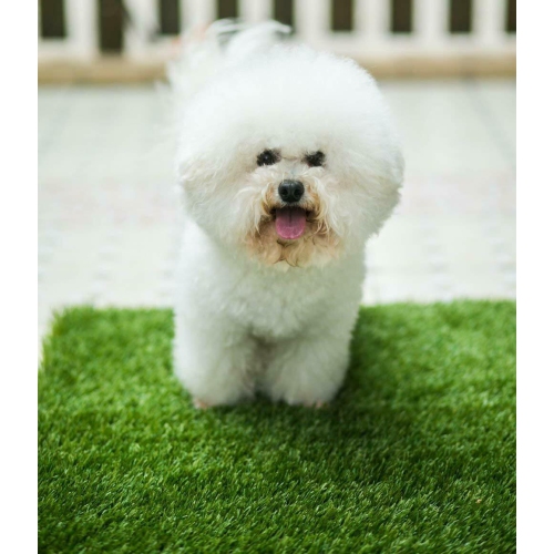 Grass Bathroom for Dog Puppy Portable Potty Pad tray Trainer Indoor Alternative