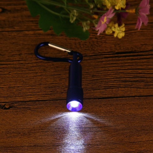 Portable Mini Handy Sport Outdoor LED Flashlight Torch Light With Carabiner