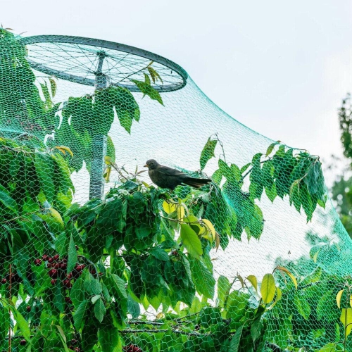 Anti Bird Protection Mesh Fruit Tree Plant Crops Pest Control Net