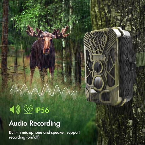 Rexing Woodlens H3 Trail Camera with Electronic Animal Caller and Night Vision Recording - Green