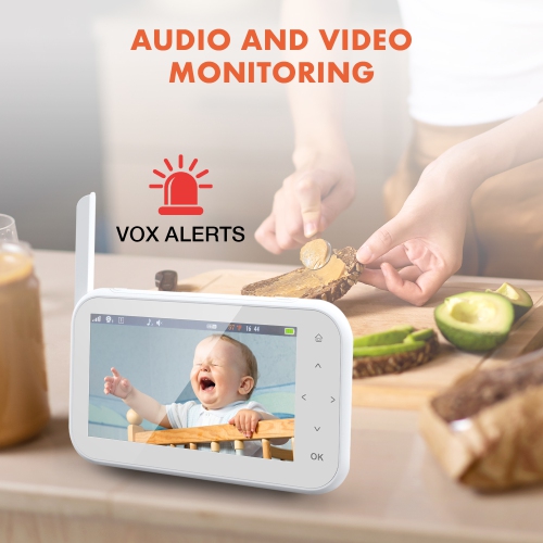 Rexing BM1 Baby Monitor with Recording Capabilities and 4.5” IPS
