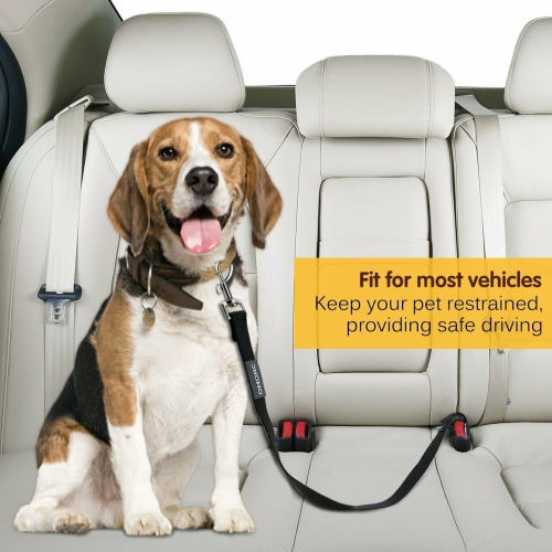 Car seat belt/seatbelt restraint for your pet dog cat when travelling in vehicle