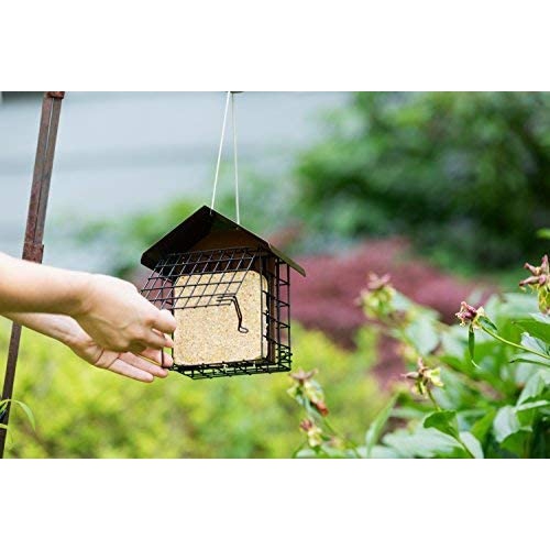 Mangeoire pour oiseaux sauvages MeKKKAKPRO double Suet avec toit en métal suspendu, capacité de 2 suif, alimentation recommandée pour oiseaux