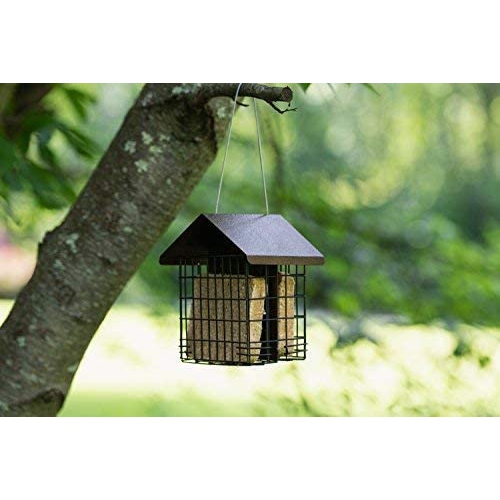 Mangeoire pour oiseaux sauvages MeKKKAKPRO double Suet avec toit en métal suspendu, capacité de 2 suif, alimentation recommandée pour oiseaux