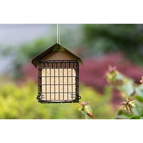 Mangeoire pour oiseaux sauvages MeKKKAKPRO double Suet avec toit en métal suspendu, capacité de 2 suif, alimentation recommandée pour oiseaux