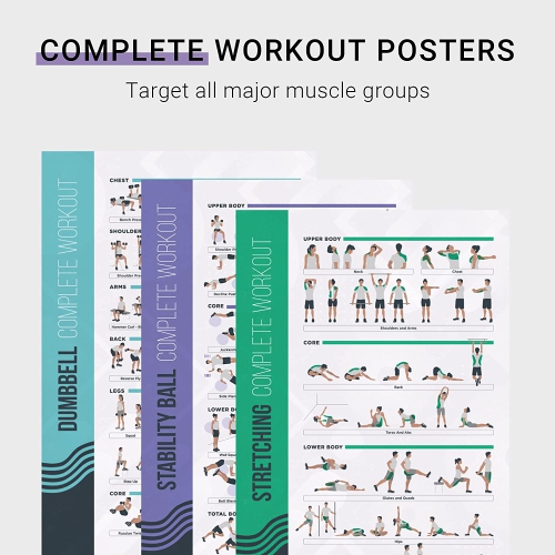 FitMate 8 Pack Workout Exercise Poster Bundle - Dumbbell, Barbell, Bodyweight, Yoga, Stretching, Stability Ball, Resistance Bands, Kettlebell | Home