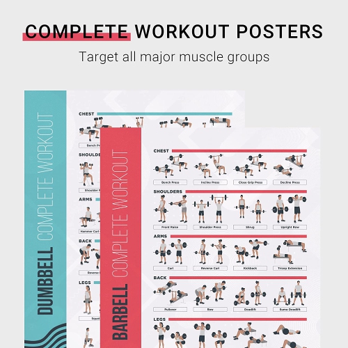 FitMate 8 Pack Workout Exercise Poster Bundle - Dumbbell, Barbell, Bodyweight, Yoga, Stretching, Stability Ball, Resistance Bands, Kettlebell | Home