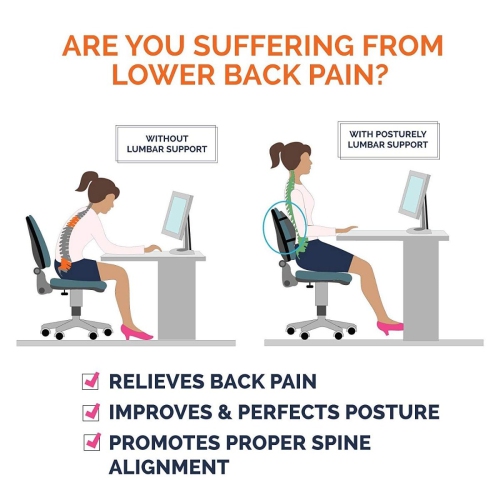 ISTAR Lumbar Support Pillow/Back Cushion, Memory Foam Orthopedic Backrest for Car Seat, Office/Computer Chair and Wheelchair,Breathable & Ergonomic