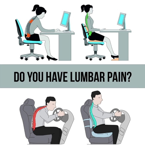 ISTAR Lumbar Support Pillow/Back Cushion, Memory Foam Orthopedic Backrest for Car Seat, Office/Computer Chair and Wheelchair,Breathable & Ergonomic