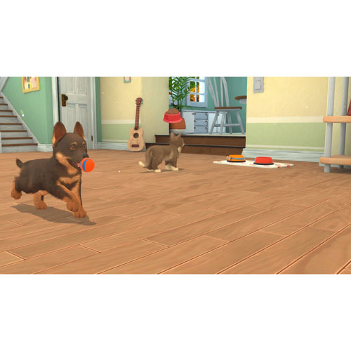 My Universe: Puppies and Kittens