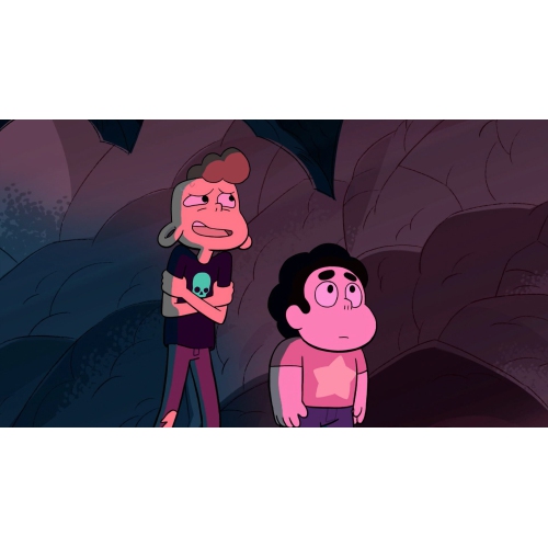 Steven Universe: The Complete Collection - Seasons 1-6 [DVD Box Set]