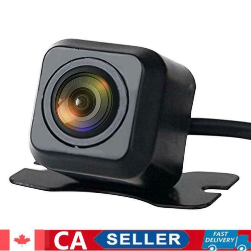 10ft Coiled SUP Leash Stand Up Paddle Board Surfboard Leash Leg Rope