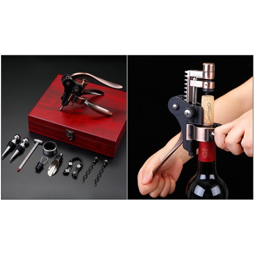 Arolly – Ouvre-bouteille de vin manuel, trousse d'ouvre-poignée en alliage de zinc, 9 accessoires à vin avec bouchon, coupe-capsule, aérateur, bec