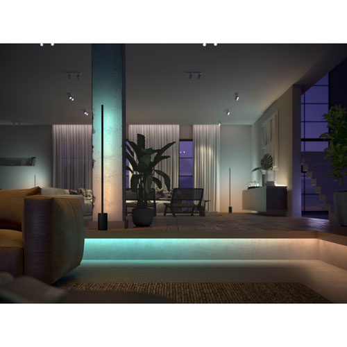 Philips Hue Gradient 1m (3.3 ft.) Smart LED Light Strip Extension Kit - White & Colour Ambiance