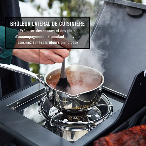 Napoleon Freestyle 425 47000 BTU Propane BBQ with Side Burner & Grill Cover - Black - Only at Best Buy