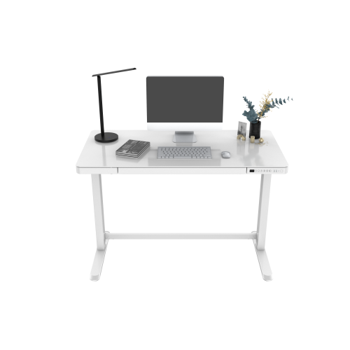 48 x 24 inch Height Adjustable Anti-Collision Function Electric Standing Desk with Drawer, Sit Stand Desk with Glass Tabletop, USB Charge Ports and