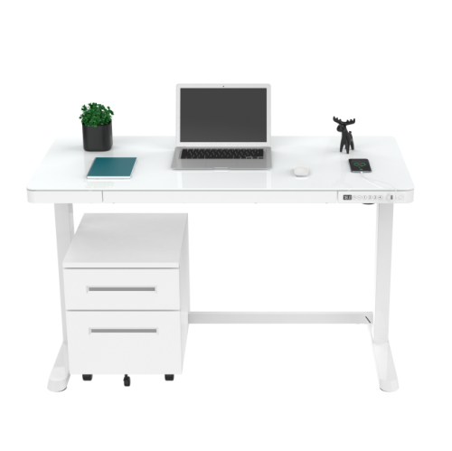 48 x 24 inch Height Adjustable Electric Standing Desk with Drawer, All-in-One Sit Stand Desk Workstation with USB Charging Port, Glass Tabletop and