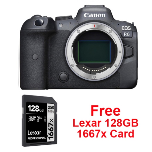 Canon EOS R6 Body + Lexar Professional 1667x 128GB SD Card