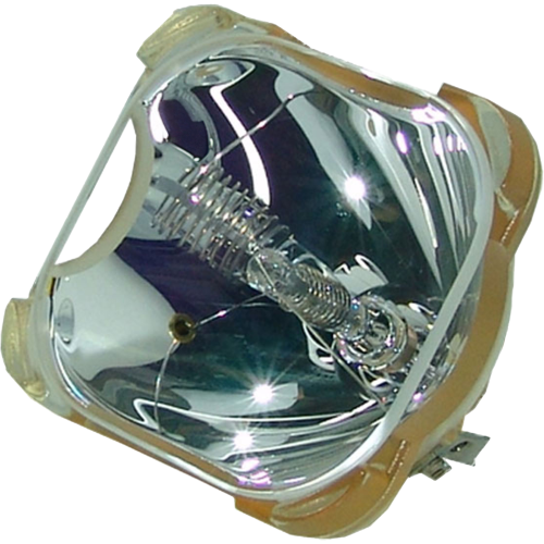 P22 250W 1.3 AC Bare Lamp - Replaces the 69533 - 240 Day Warranty