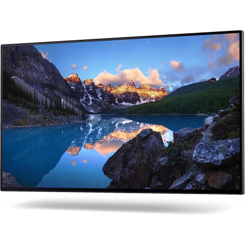 Dell UltraSharp 24 Monitor - U2422H