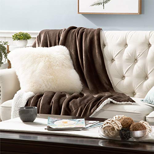 Bedsure Brown Sherpa Throw Blanket - Fuzzy Soft Blanket, Plush Microfiber Blanket, Throw Size
