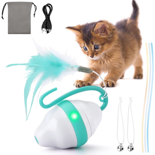 rechargeable cat toy