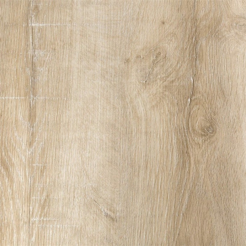 Pemberly Row 70" Farmhouse Barn Door TV Stand in White Oak