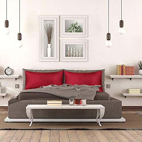 Jinamart Silky Satin Tickowcase - Cas d'oreiller en satin ultra-doux pour cheveux et peau | Coussin hypoallergénique avec fermeture à glissière cachée