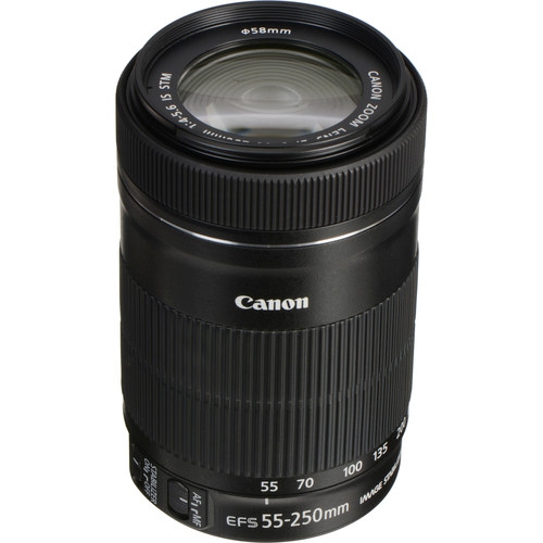 Canon EF-S 55-250mm f/4-5.6 IS STM Telephoto Zoom Lens