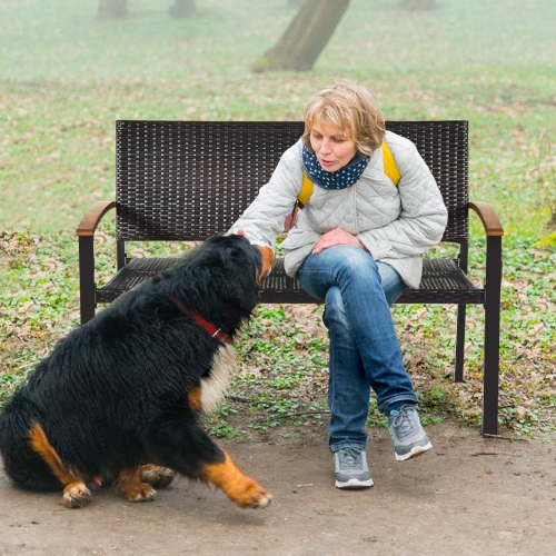 Patiojoy Patio Furniture Weather-Resistant Rattan Bench Wicker Loveseat Steel frame for Yard Garden Poolside
