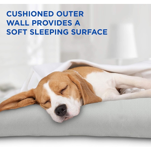 Arf Pets Dog Self Cooling Bed Pet Bed – Solid Gel Based Self Cooling Mat for Pets, Includes a Foam Based Bolster Bed for Extra Comfort, 22" x 35"