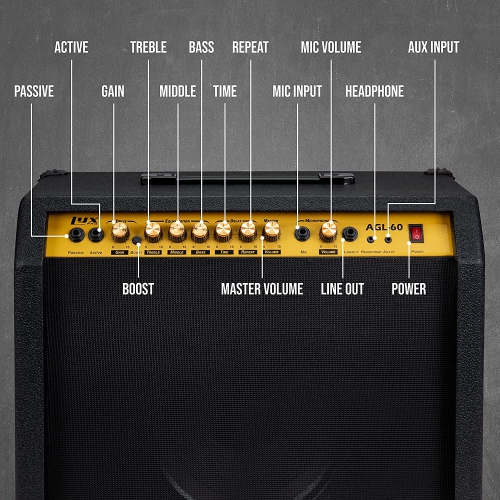 LyxPro 60 Watt Electric Guitar Amplifier | Combo Solid State Studio & Stage Amp with 10” 4-Ohm Speaker, Custom EQ Controls, Drive, Delay, ¼”