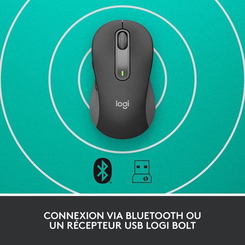 Souris optique sans fil Signature M650 de Logitech - Graphite