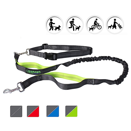 long dog leash canada