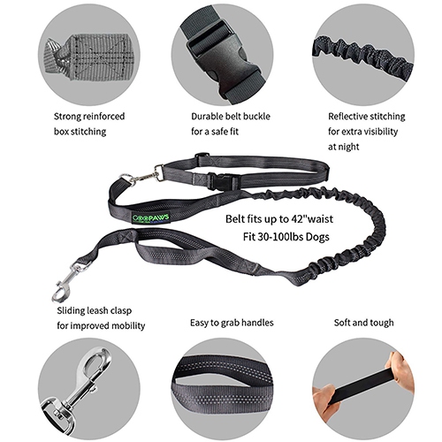 Laisse de Bungee mains libres Jespa, noire