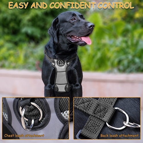 Harnais rembourré pour chien Jespa avant, noir, 26 po