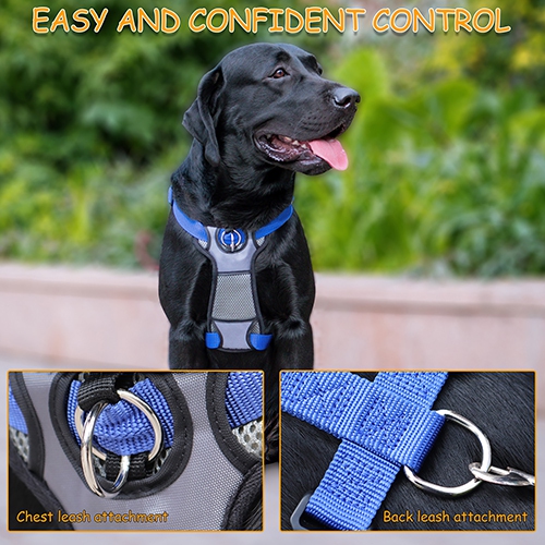 Harnais rembourré pour chien Jespa avant, bleu, 26 po