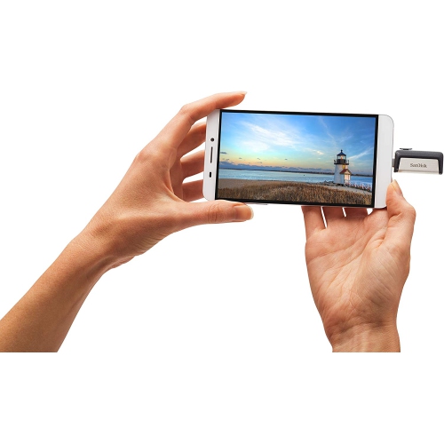 256GB Ultra Dual Drive USB Type-C - USB-C, USB 3.1 - SDDDC2-256G-G46