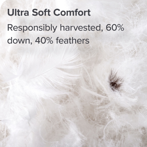 Bare Home Down Comforter - Responsible Duck Down - Ultra-Soft - Hypoallergenic - All Season Breathable Warmth