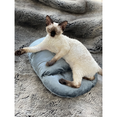 The Kushie - Cozy Foot Cushion - Cool Blue