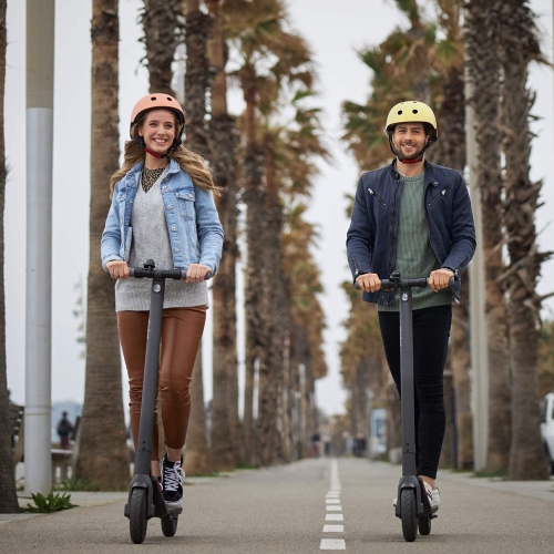 Trottinette électrique Ninebot E22 de Segway - remis à neuf