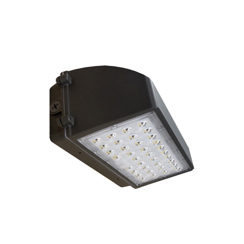 Xtricity Outdoor LED Security Light, 6900